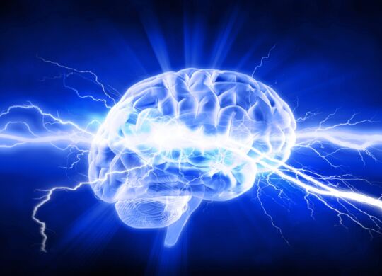 neurovendita