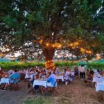 Cena aziendale all'aperto sotto le luci – evento serale in Oltrepò Pavese