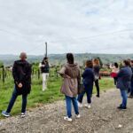 Passeggiata di gruppo tra i filari durante un team building in vigna