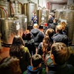 Visita guidata in cantina tra gli impianti di vinificazione – team building enologico